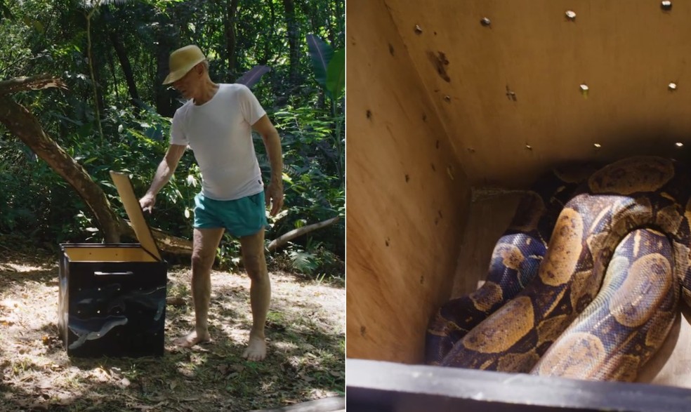Ney Matogrosso fala sobre resgate de animais e soltura em própria floresta — Foto: Reprodução/'Ney por trás das máscaras'