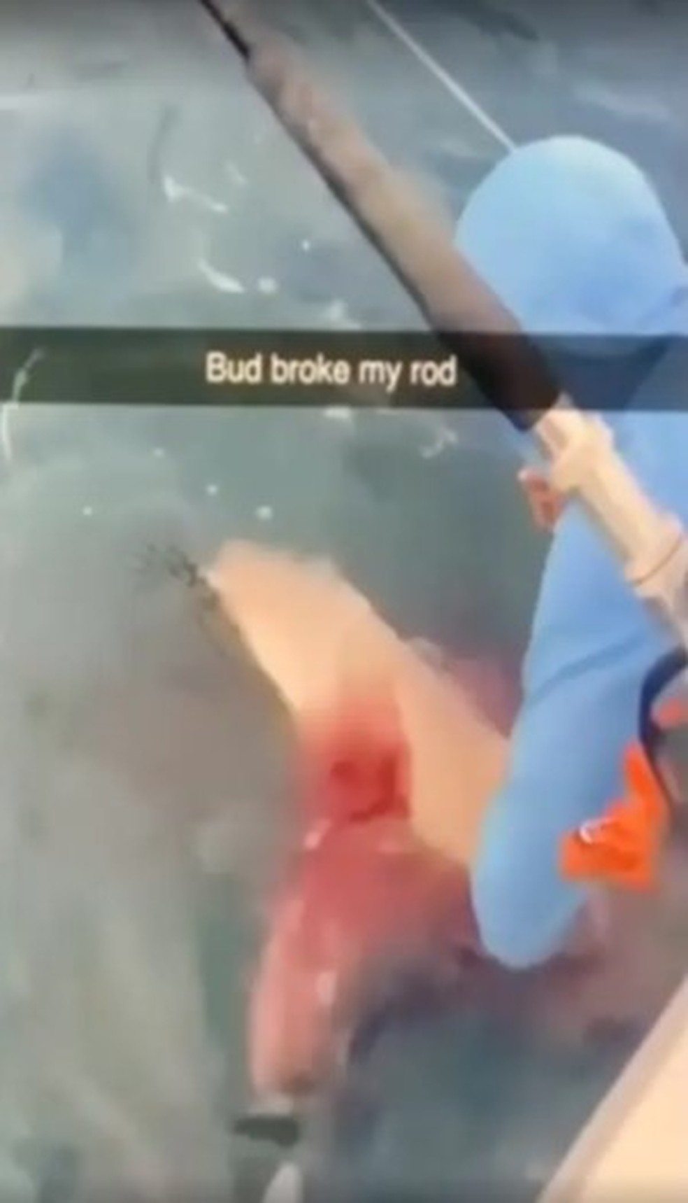 Pescador Zane Garrett foi preso após esfaquear seguidas vezes tubarão que lhe roubou peixe na Flórida — Foto: Reprodução