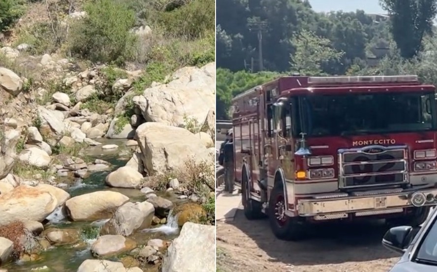 Mulher que fazia trilha na Califórnia teve grave reação alérgica à mordida de formigas