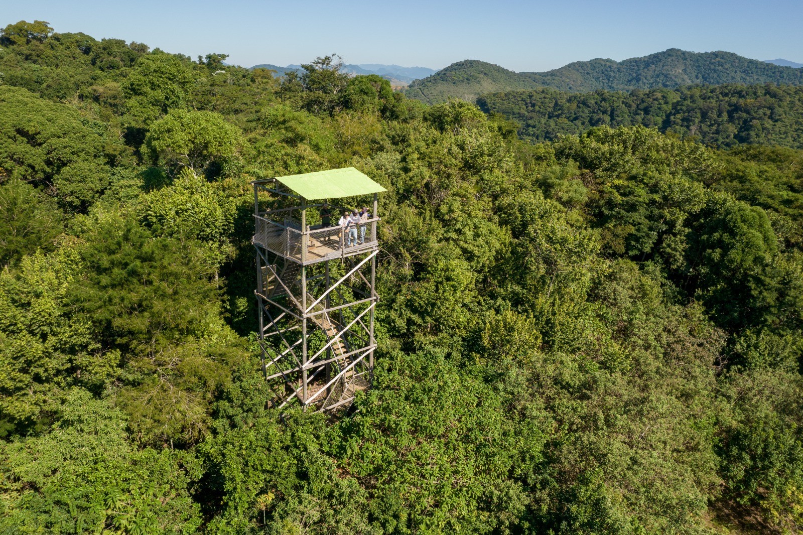 Parque Ecológico Mico-Leão-Dourado, em Silva Jardim, recebe certificação internacional - QTU Questões do Universo