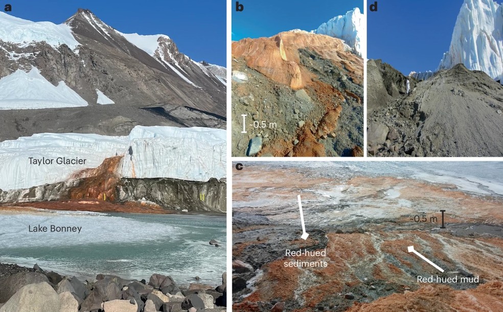 'Cascatas de Sangue' da Ant&aacute;rtica abrigam descendentes de antigas criaturas marinhas, diz estudo &mdash; Foto: Reprodu&ccedil;&atilde;o