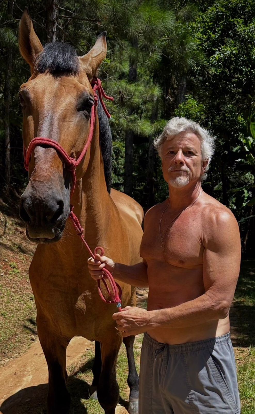 O sítio de Marcello Novaes — Foto: Reprodução/Instagram