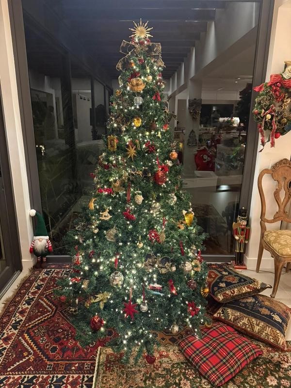 Árvore Sophie Charlotte — Foto: Reprodução / Instagram