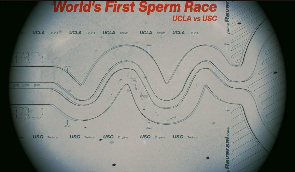 Parte do percurso de evento teste — Foto: Reprodução