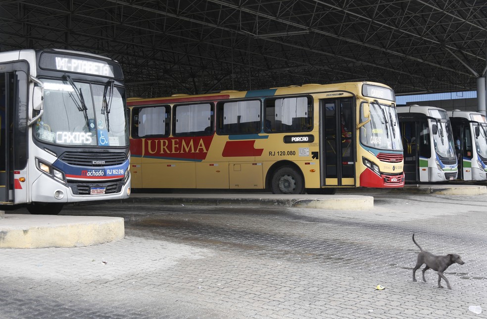 Ônibus intermunicipais: sabe o que significam letras que acompanham ...