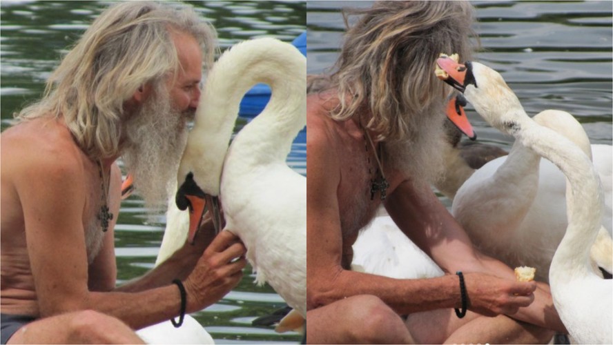 Anders Fernstedt foi filmado em março de 2023 enquanto acariciava, abraçava e beijava cisnes em um parque