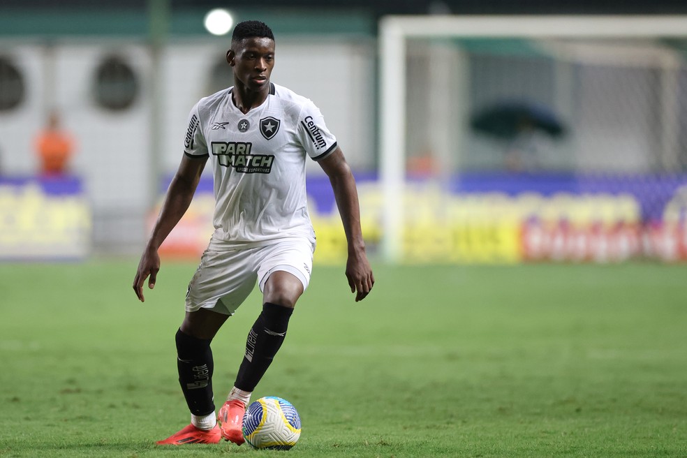 Luiz Henrique foi expulso no empate contra o Atlético-MG — Foto: Vítor Silva/Botafogo