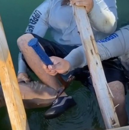 Tubarão mordeu pé de banhista na Flórida e não o largou por 15 minutos — Foto: Reprodução
