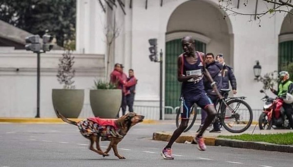 Atleta perde primeiro lugar após ser perseguido por cachorro durante maratona na Argentina