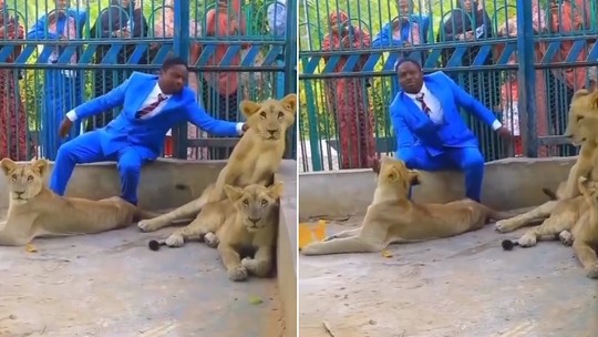 'Pastor' entra na jaula de leões para demonstrar 'proteção divina', mas é desmascarado