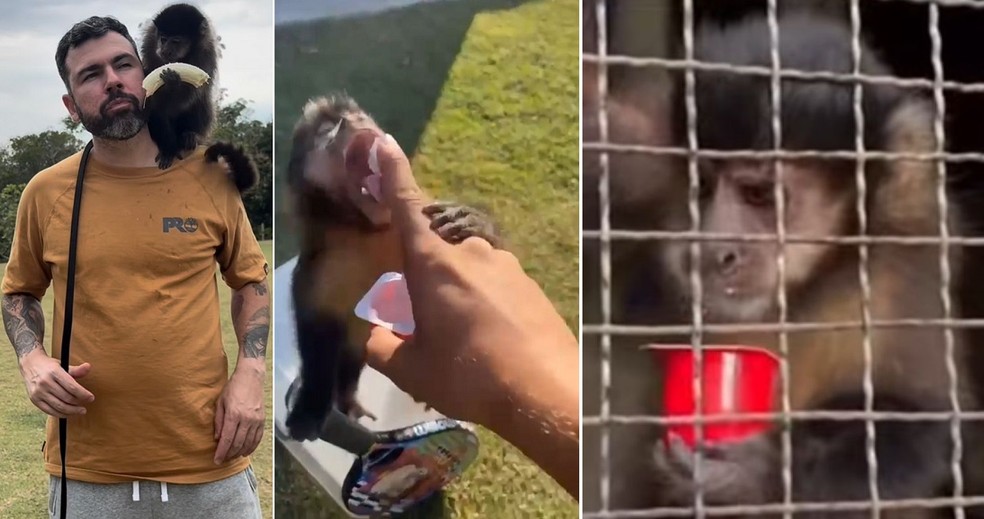 O adestrador André Poloni com Katu e dando danone para o macaco — Foto: Reprodução/Instagram