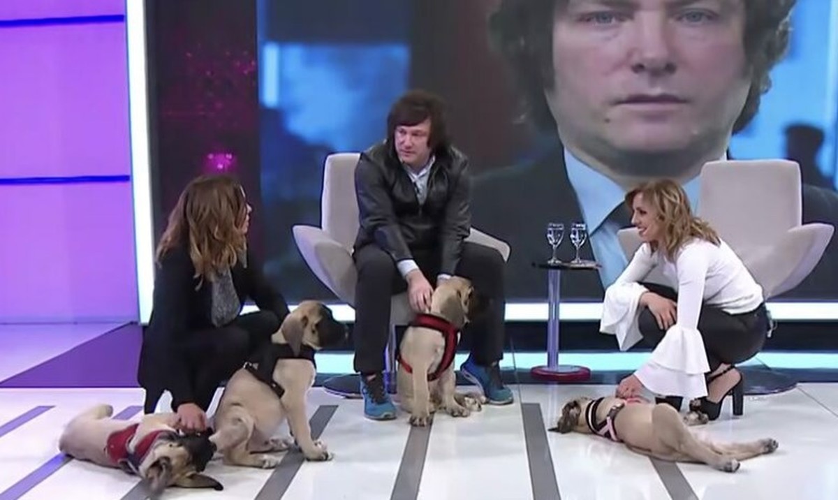 Nuevo presidente argentino clonó a su perro y afirmó haber hablado con él a través de una médium;  entender