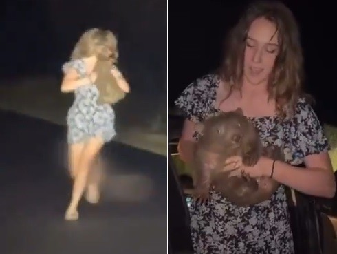 Influencer que provocou revolta ao tirar bebê vombate da mãe para ganhar likes é condenada em outro caso - QTU Questões do Universo