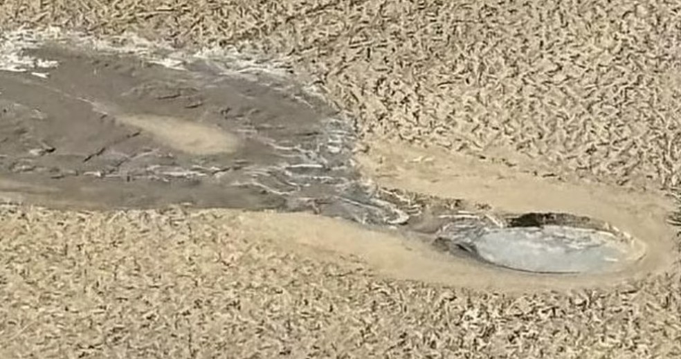 Buraco descoberto por Carolyn Evans em praia de Gold Coast, Austr&aacute;lia &mdash; Foto: Reprodu&ccedil;&atilde;o/Facebook(Carolyn Evans)