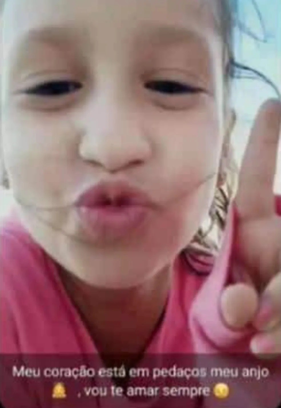 Larissa Maia Toldo, de 7 anos: vítima de atentado a escola de Blumenau (SC)  — Foto: Reprodução