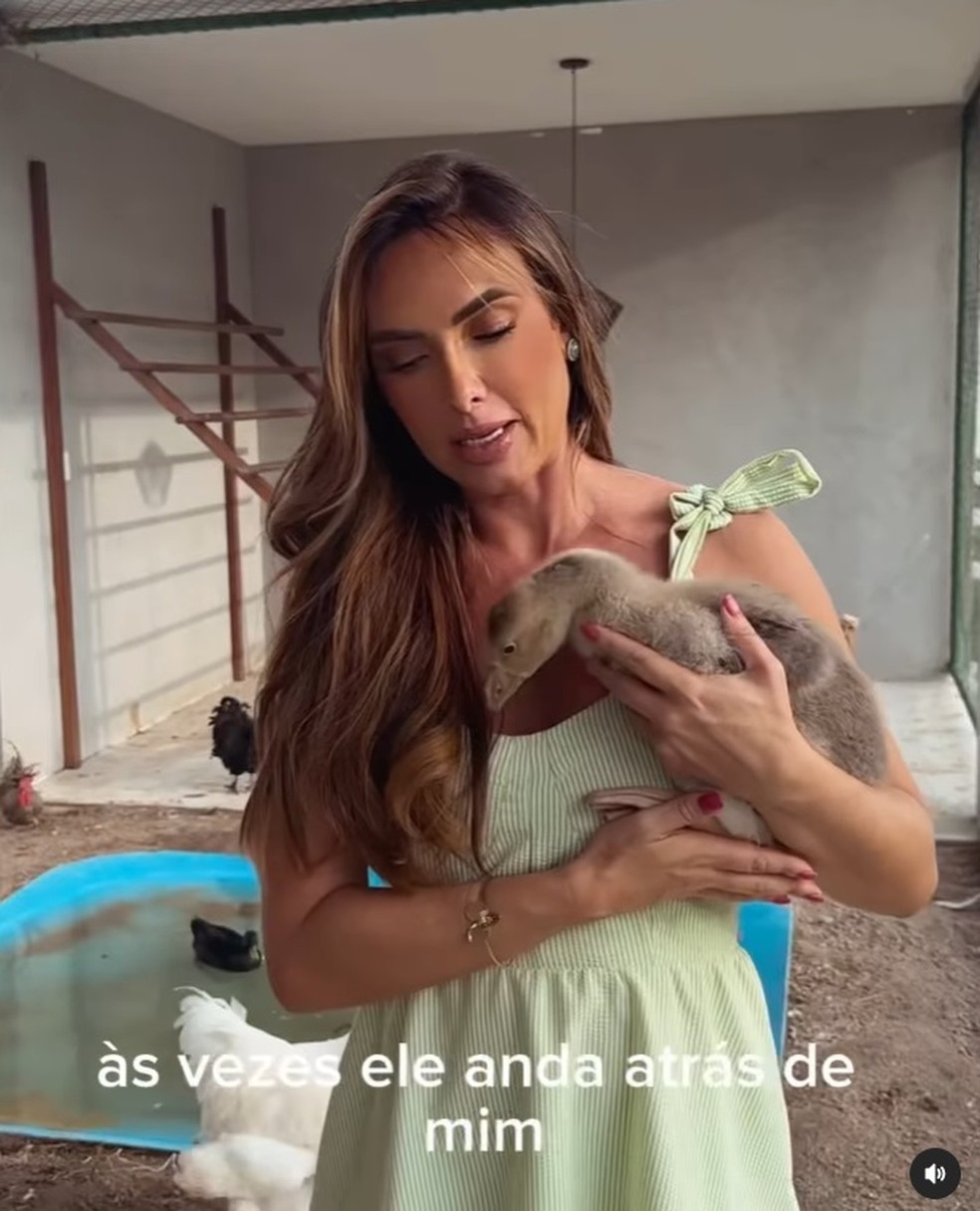 Nicole Bahls em seu sítio — Foto: Reprodução/Instagram