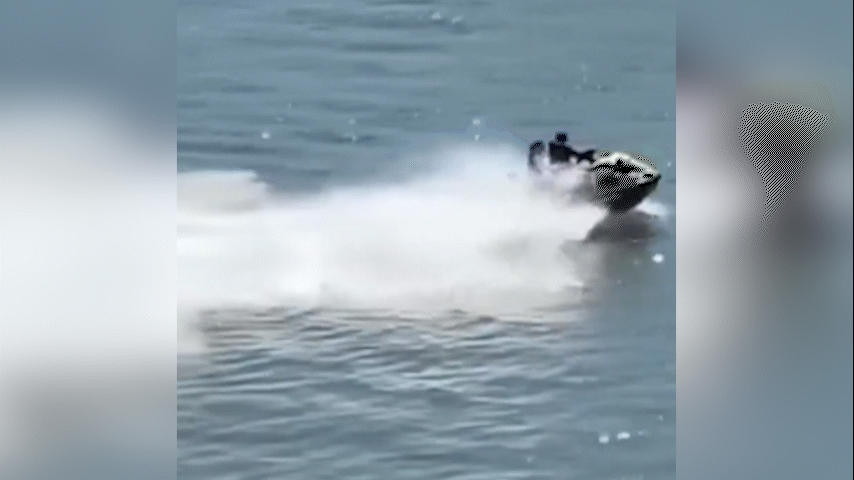 Dupla de jet skis persegue e vira barco com menores em área onde tubarões já foram vistos