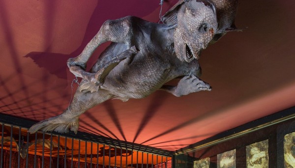 Museu londrino tem 'fadas mumificadas, crânio de ciclope e pênis de enforcado'