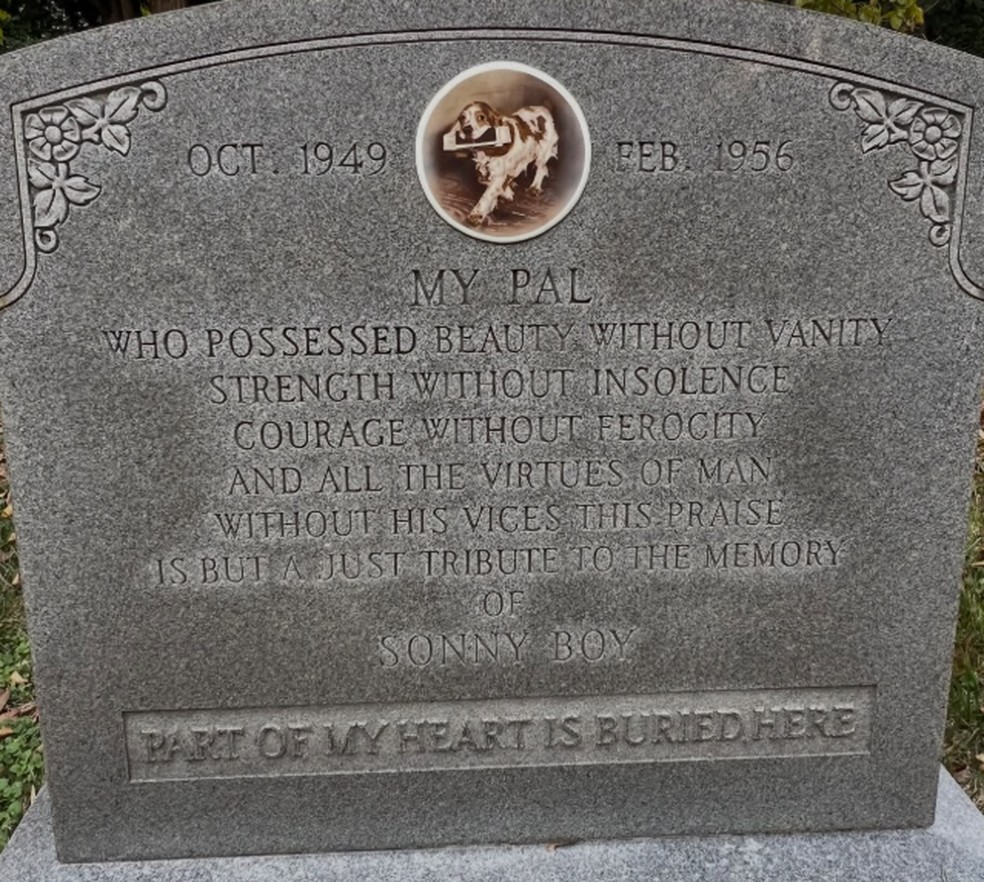 Algums mensagens de carinho são bem extensas — Foto: Reprodução/Instagram/@photosofpetcemeteries_