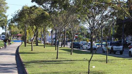 Projeto Bosques Urbanos prevê o plantio de 3 mil árvores em Rio das Ostras até o fim do ano