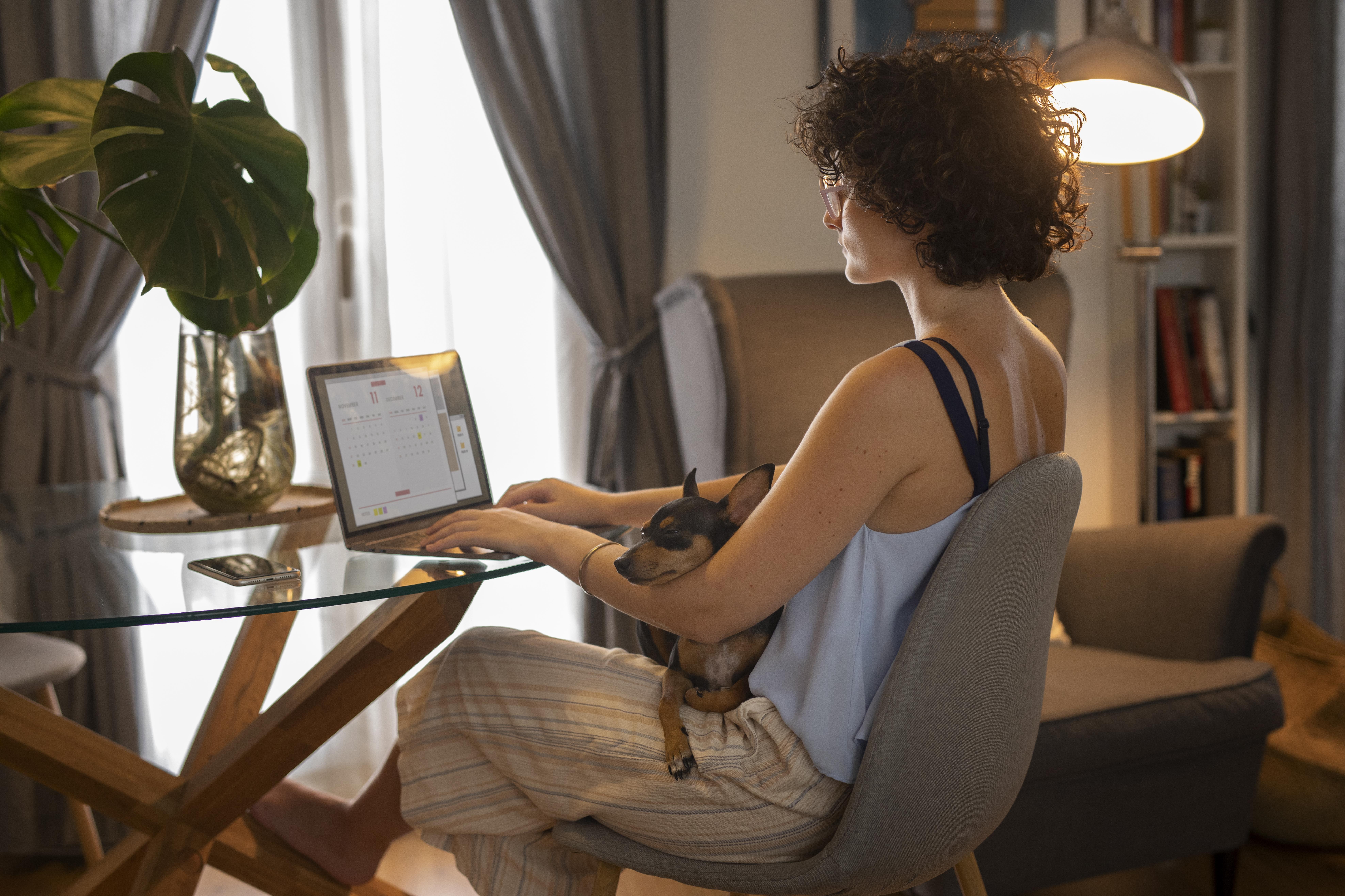 Saiba quantas pessoas trabalham home office no Brasil, segundo o IBGE