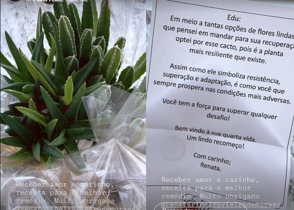 Internado, Edu Guedes agradece manifestações de carinho — Foto: Reprodução/Instagram