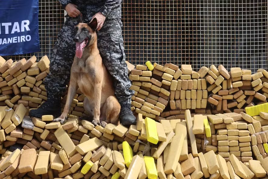Cão Hulk, que encontrou 48 toneladas de maconha na Maré, vai ganhar Medalha Tiradentes