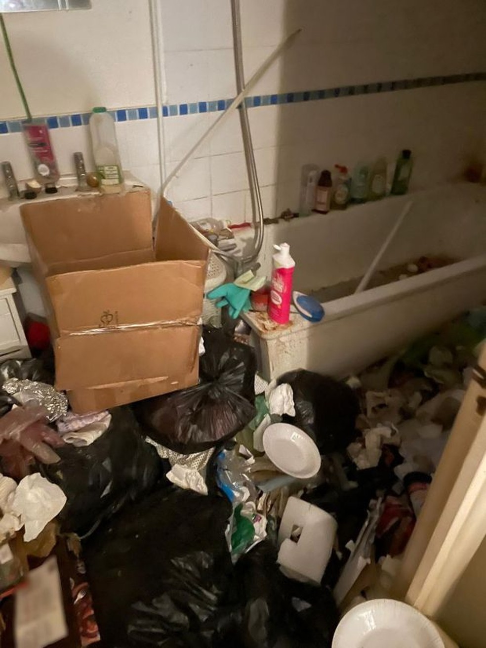 Banheiro da casa considerada a "mais suja da Grã-Bretanha" — Foto: Reprodução