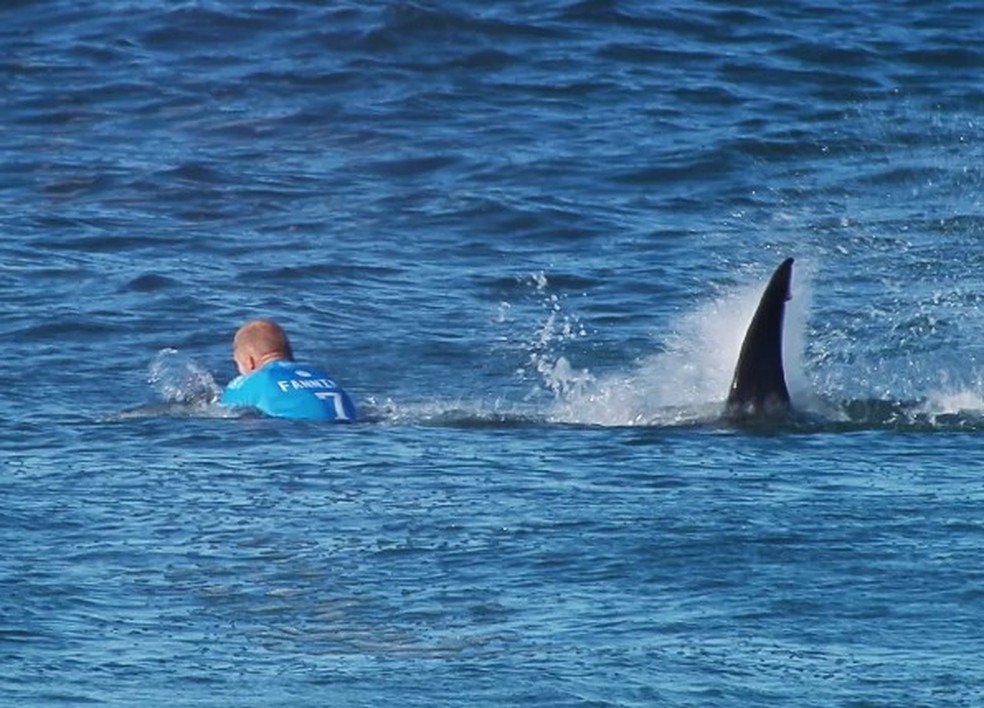 Encontro do surfista Mick Fanning com um tubarão: episódio na África do Sul assustou Tamayo Perry — Foto: AFP