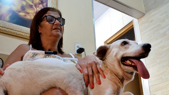 Cãozinho Aquiles, que teve pata amputada, ganha nova vida após ser adotado em feira de Nova Iguaçu