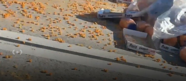 Milhares de bolinhas de queijo caem em rodovia nos EUA e interditam o tráfego - QTU Questões do Universo