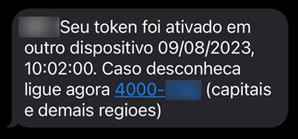 Com acesso, criminosos conseguem operar celular da vítima — Foto: Reprodução/Kaspersky