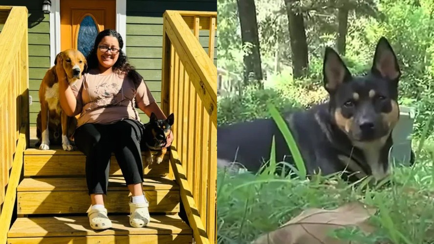 Cadela dispara investigação policial após desenterrar ossos humanos em