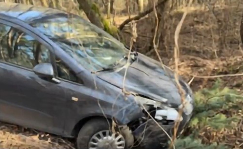 Carro de Magdalena Majtyka abandonado em floresta no Sul da Polônia — Foto: Reprodução/X