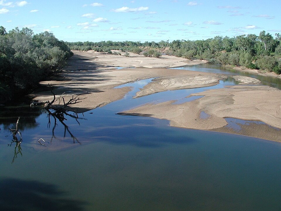 Rio repleto de crocodilos é aprovado para sediar provas de remo e canoagem nos Jogos Olímpicos de 2032, em Brisbane