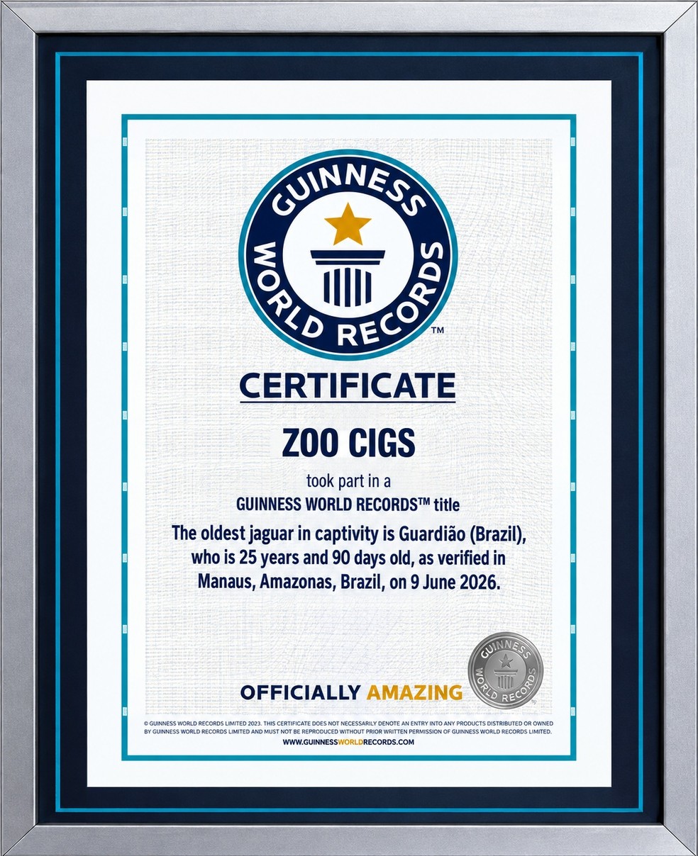 Certificado do Guinness World Records — Foto: Divulgação