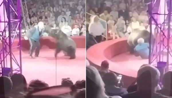 Ursa patinadora ataca treinador na frente de crianças em circo na Rússia