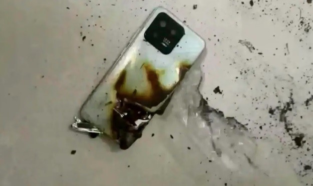 Adolescente sobrevive a ataque de urso após celular explodir