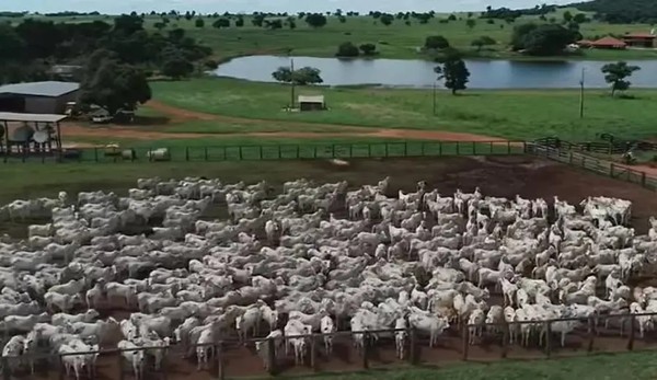 Fazendas de Amado Batista — Foto: rep/ instagram e youtube