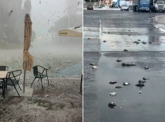 Chuva de granizo mata cem pombos em cidade da Espanha - QTU Questões do Universo