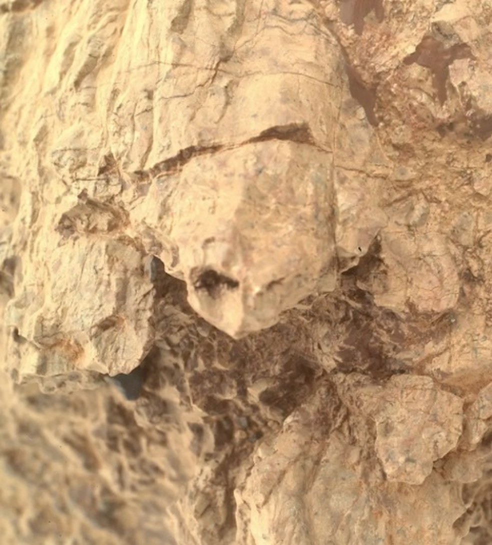 Rocha com formato de tartaruga no solo de Marte &mdash; Foto: Divulga&ccedil;&atilde;o