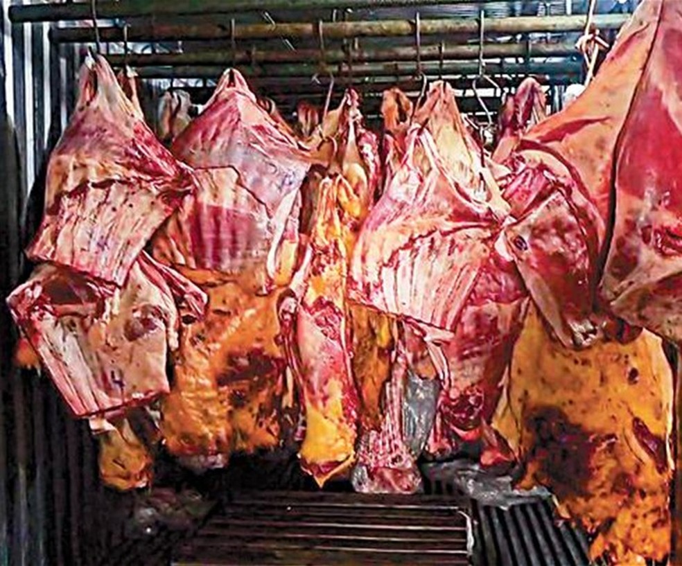 Polícia Civil do Rio faz a "Operação Carne Fraca" mirando empresa em Três Rios (RJ) que comprou 800 toneladas de carne bovina estragada e revendeu. Os alimentos ficaram submersos nas enchentes de Porto Alegre, no ano passado. — Foto: Reprodução