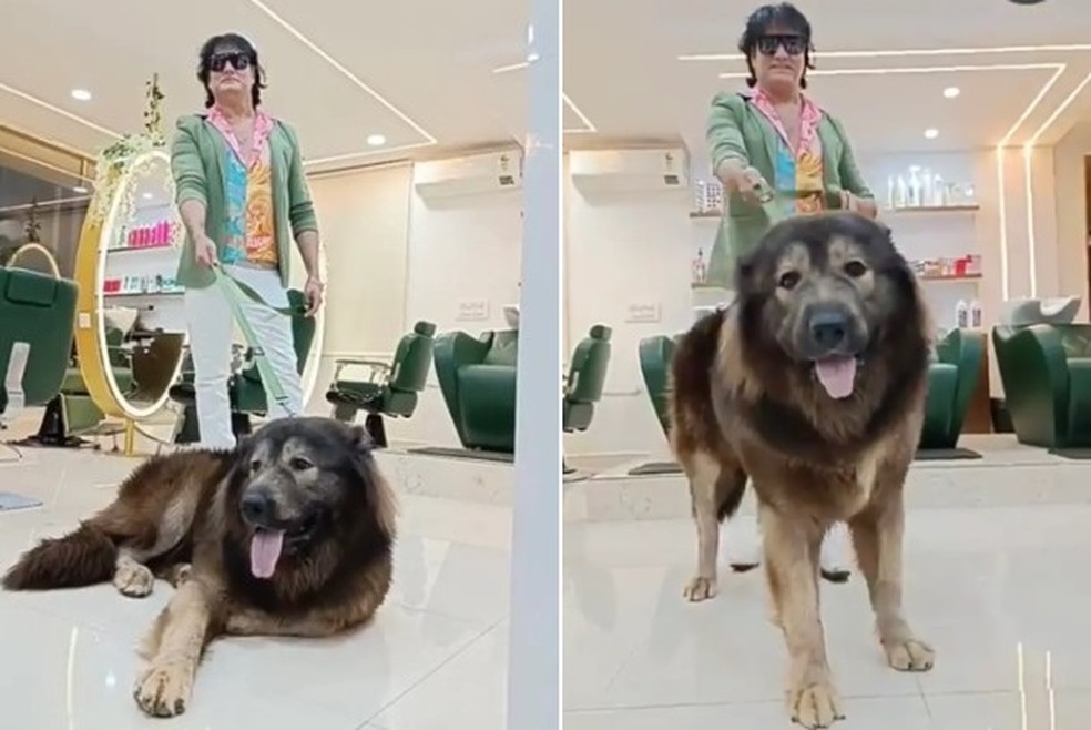 S Sathish e Okami, o c&atilde;o mais caro do mundo que &eacute; meio-lobo &mdash; Foto: Reprodu&ccedil;&atilde;o/YouTube