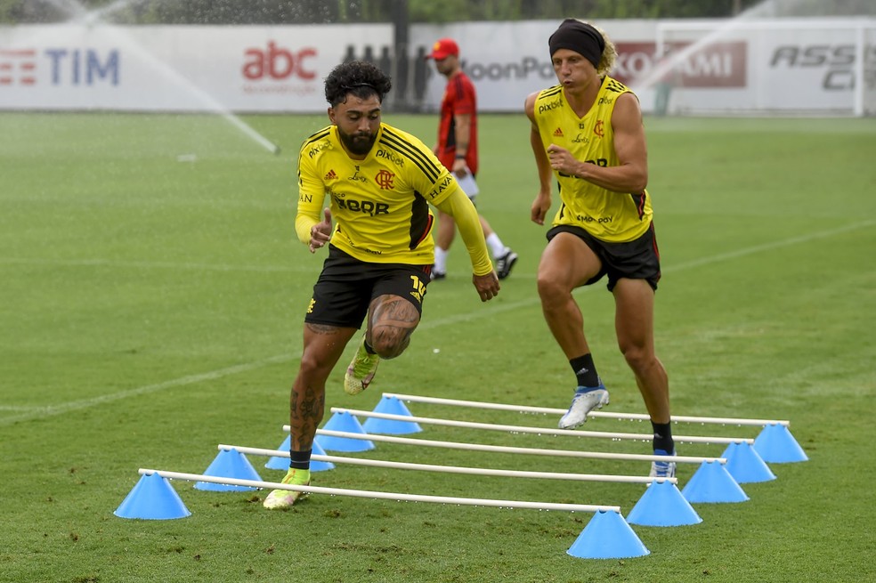 David Luiz e Gabigol estão no centro de disputa por liderança da equipe no Flamengo  — Foto: Divulgação