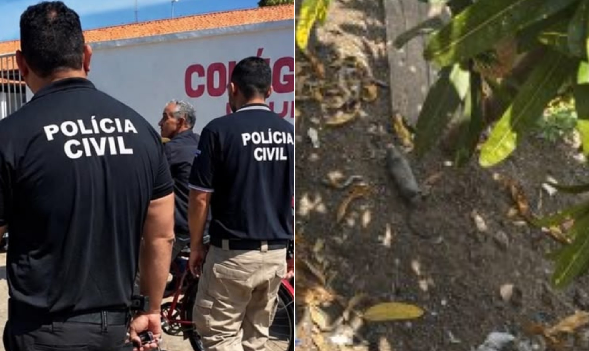 Filho é preso suspeito de deixar mãe de 96 anos trancada em casa suja com ratos mortos no Maranhão - Foto