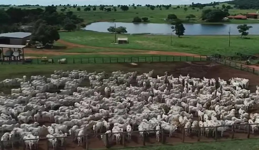 Fazendas de Amado Batista &mdash; Foto: rep/ instagram e youtube