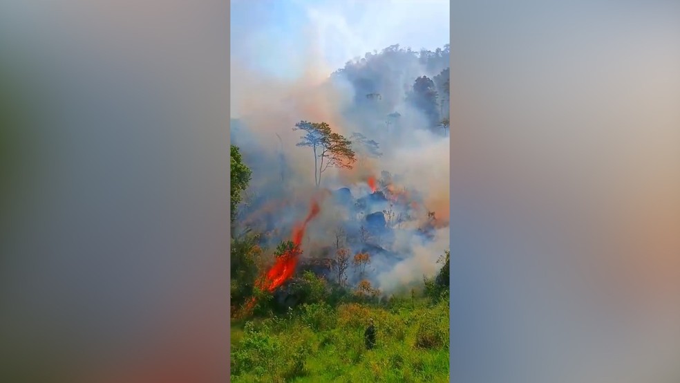 Incêndio destrói mata de quilombo em Mangaratiba — Foto: Reprodução