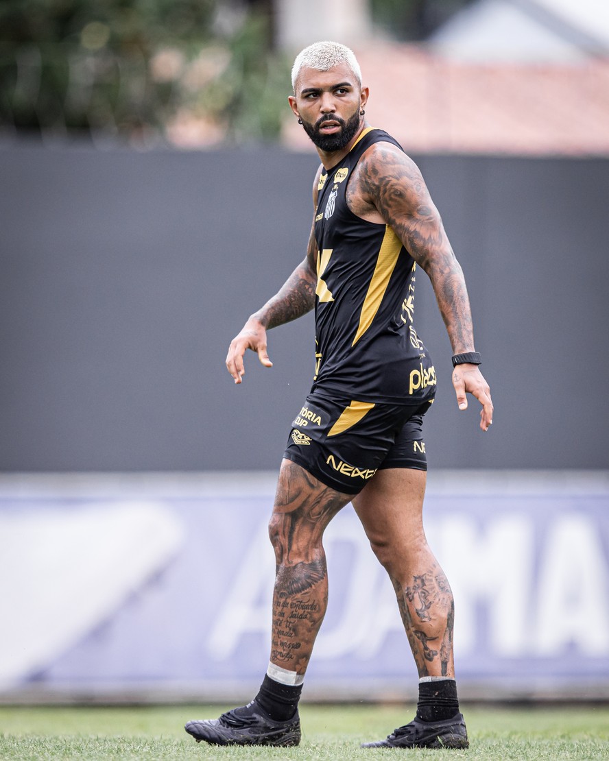 Gabigol foi contratado por empréstimo junto ao Cruzeiro por uma temporada