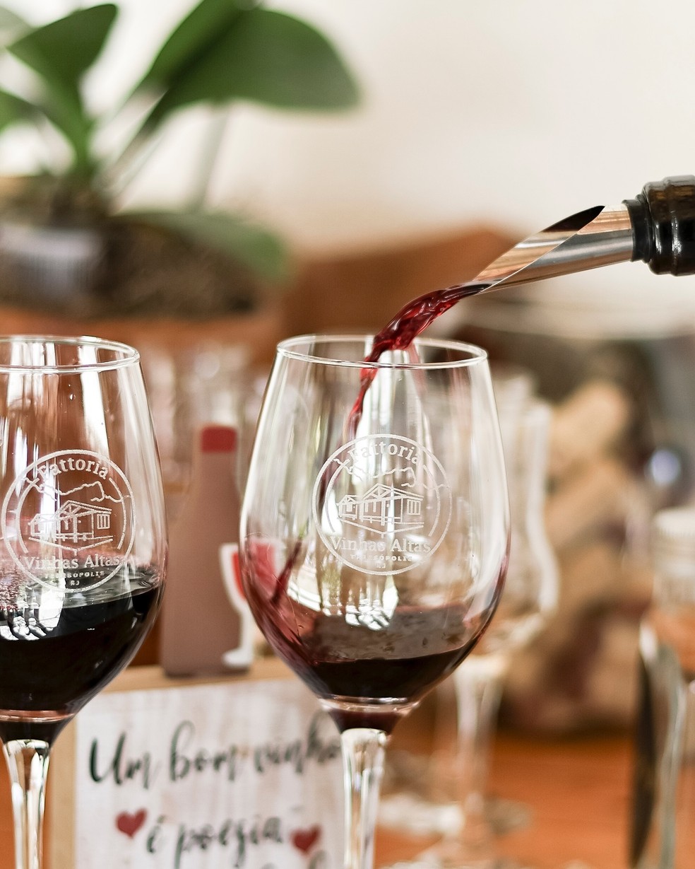 Fattoria Vinhas Altas oferece experiência a turistas interessados em conhecer os vinhos da região — Foto: Divulgação