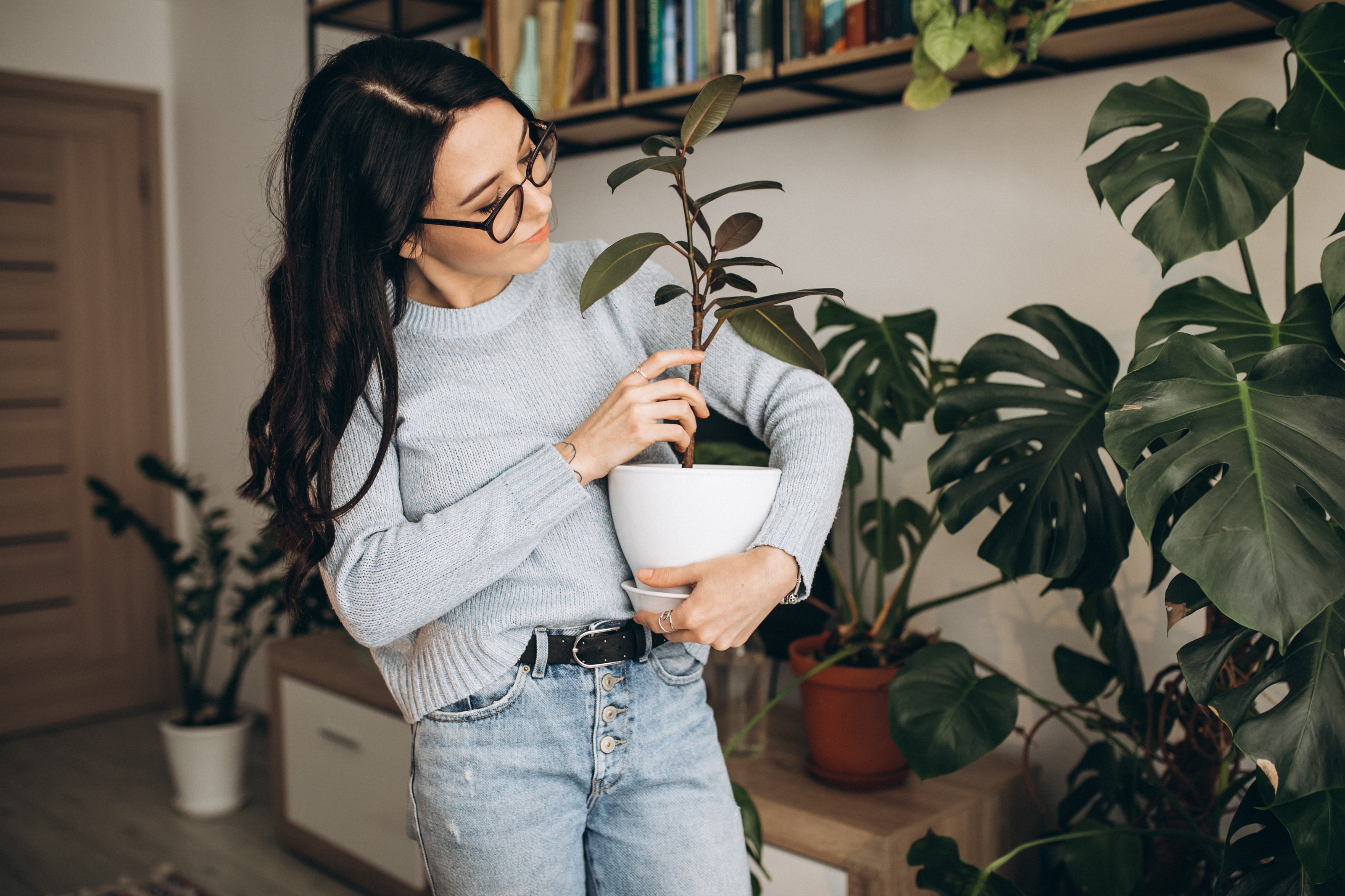 Por que falar com as plantas faz com que cresçam mais saudáveis
